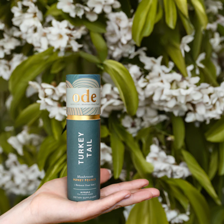 Turkey Tail Honey Pearls