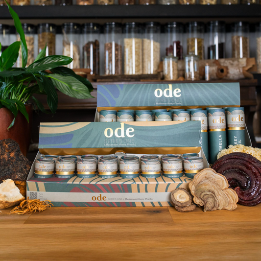 MUSHROOM HONEY PEARL MIXED BOX (16 Tubes)