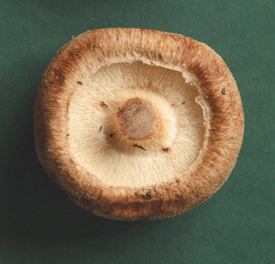 Shiitake Honey Pearls