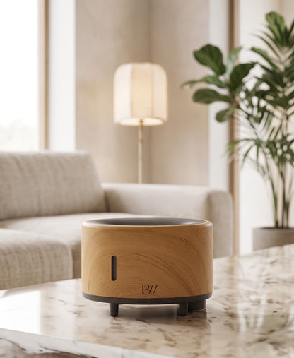 Aroma Humidifier Speaker