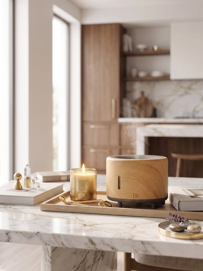 Aroma Humidifier Speaker