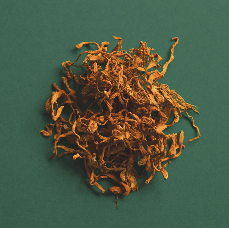 Cordyceps Honey Pearls
