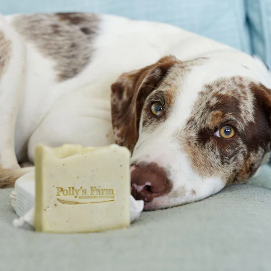 Pet Soap (Tea Tree, Nettle & Calendula)