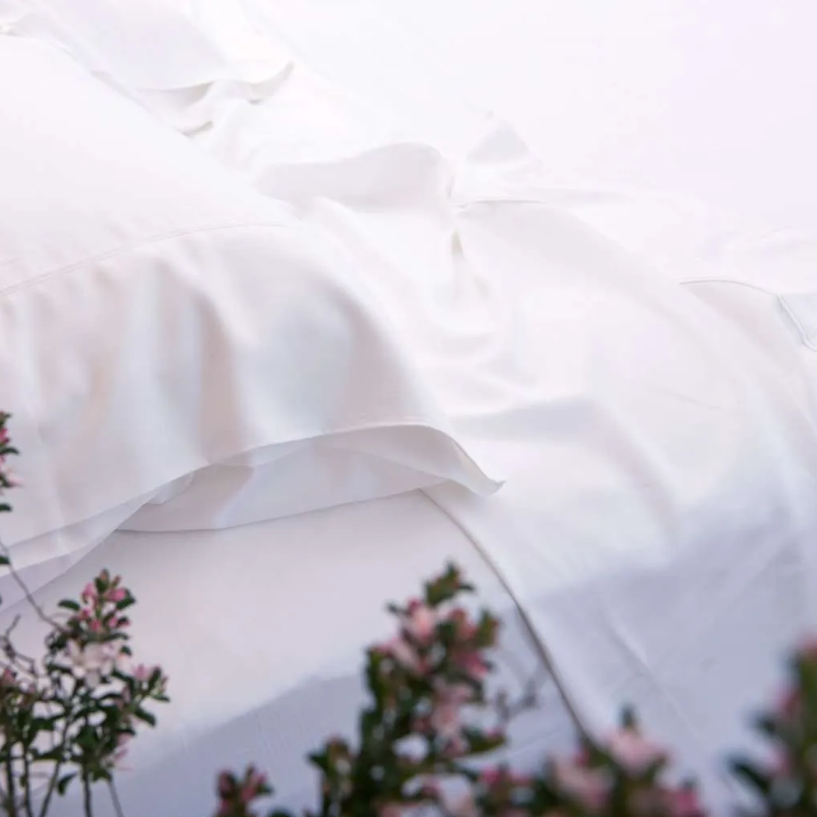 Organic Bamboo Bed Sheet Set